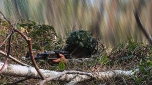 Ukrainische Spezialkräfte zerschlagen feindliche Aufklärungseinheit an der Grenze