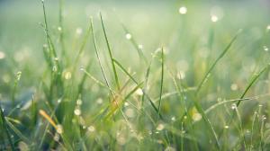 Prévisions météorologiques pour l’Ukraine lundi : courtes averses et variations de température