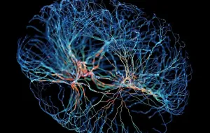 Dévoiler le processus neuronal de la prise de décision : comment les neurones anticipent nos choix avant que nous en ayons conscience