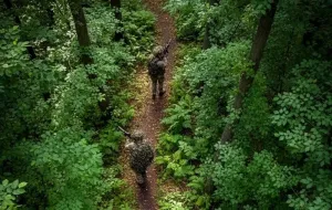 Forze speciali ucraine conducono un’incursione di successo nel territorio nemico e eliminano oltre 13 occupanti