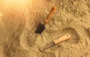 Découverte d’une ancienne cité cachée au Mexique : nouvelles trouvailles archéologiques et perspectives historiques