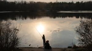 Очікуване помірне потепління та збереження приморозків в Україні: прогнози на 16-17 жовтня