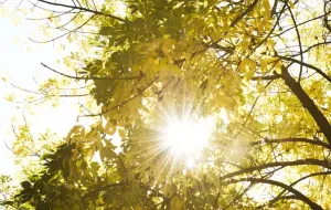 Preparate il fine settimana: il riscaldamento torna all’inizio della prossima settimana