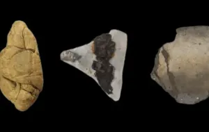 Ricerca sulla chewing gum di 6000 anni fa svela segreti dei ruoli di genere e della cultura neolitica